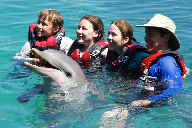 IMG_1841 - Dolphin Encounters