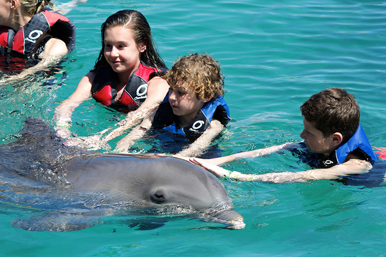 IMG_2017 - Dolphin Encounters